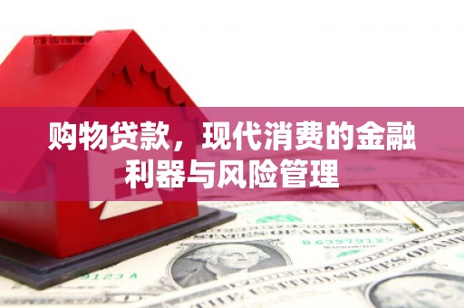 昭苏购物贷款，现代消费的金融利器与风险管理