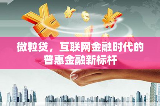 昭苏微粒贷，互联网金融时代的普惠金融新标杆