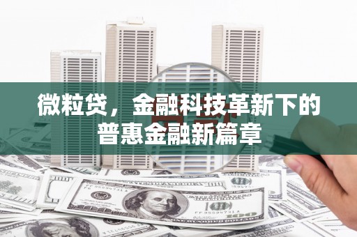 昭苏微粒贷，金融科技革新下的普惠金融新篇章
