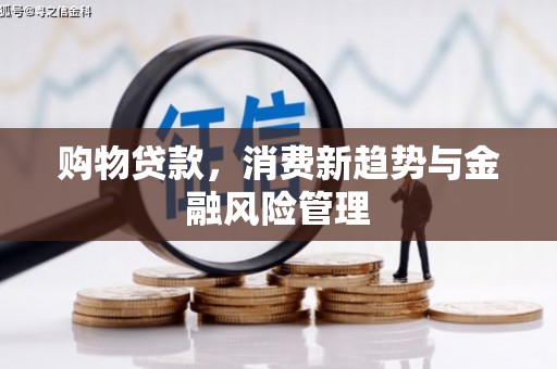 昭苏购物贷款，消费新趋势与金融风险管理