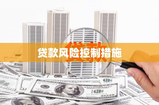 昭苏贷款风险控制措施