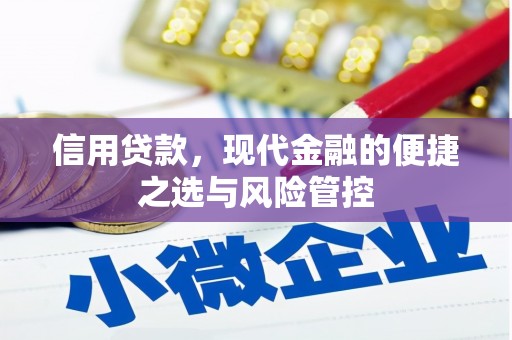 昭苏信用贷款，现代金融的便捷之选与风险管控