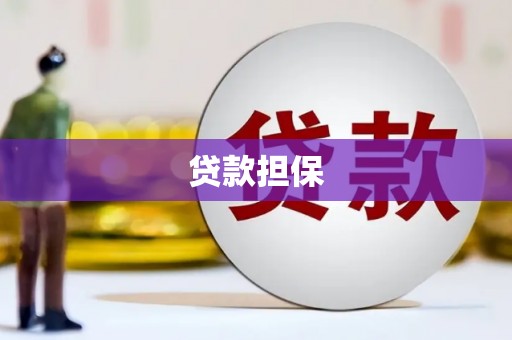 昭苏贷款担保