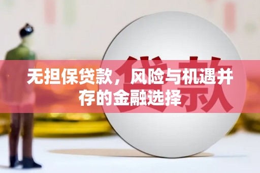 昭苏无担保贷款，风险与机遇并存的金融选择