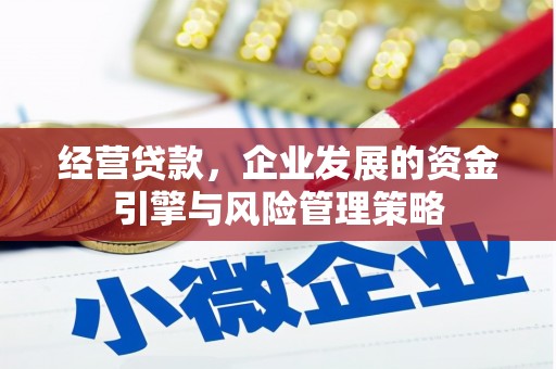 昭苏经营贷款，企业发展的资金引擎与风险管理策略