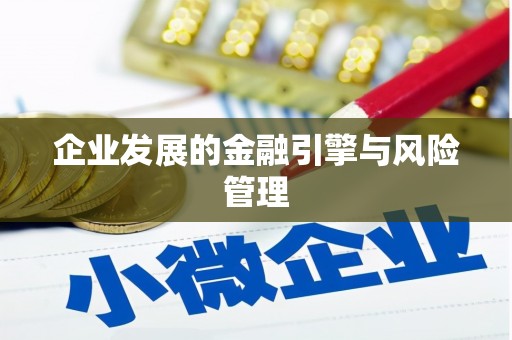 昭苏企业发展的金融引擎与风险管理