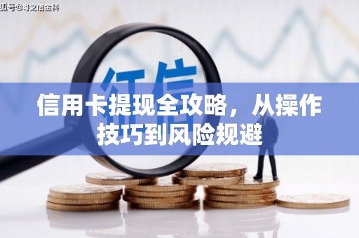昭苏信用卡提现全攻略，从操作技巧到风险规避
