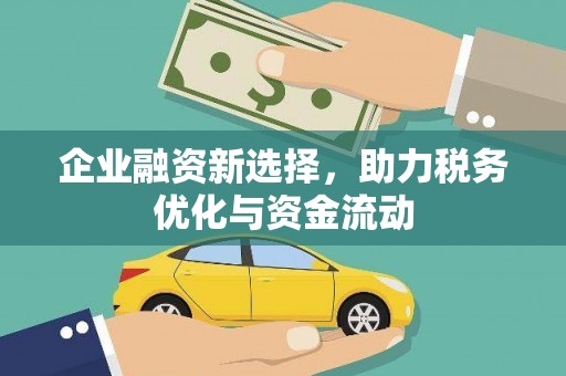 昭苏企业融资新选择，助力税务优化与资金流动