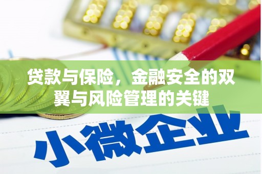 昭苏贷款与保险，金融安全的双翼与风险管理的关键