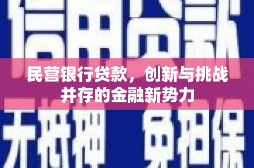 昭苏民营银行贷款，创新与挑战并存的金融新势力
