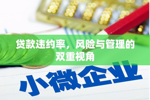 昭苏贷款违约率，风险与管理的双重视角