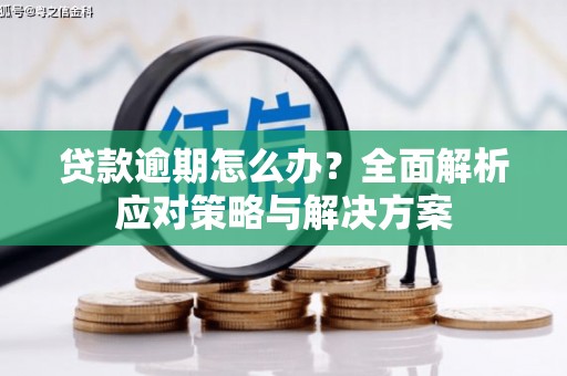 昭苏贷款逾期怎么办？全面解析应对策略与解决方案