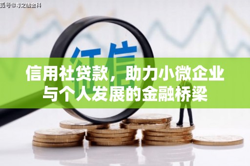 昭苏信用社贷款，助力小微企业与个人发展的金融桥梁