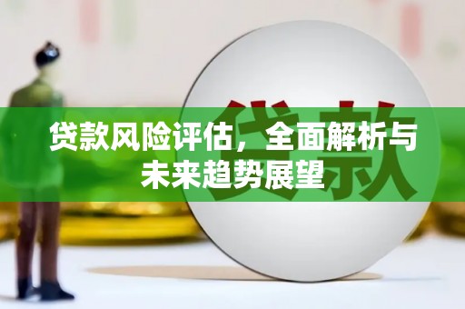 昭苏贷款风险评估，全面解析与未来趋势展望