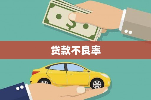 昭苏贷款不良率