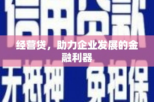 昭苏经营贷，助力企业发展的金融利器