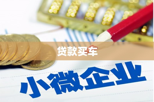昭苏贷款买车