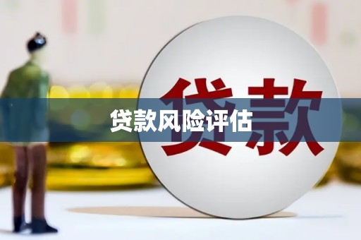 昭苏贷款风险评估