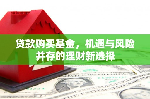 昭苏贷款购买基金，机遇与风险并存的理财新选择