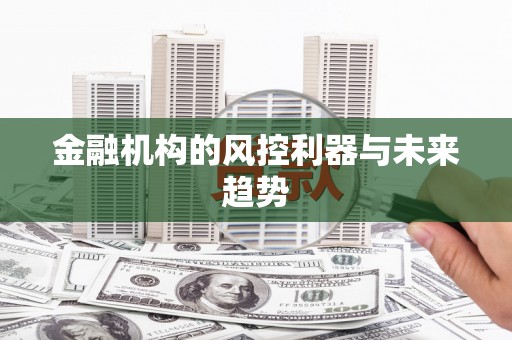 昭苏金融机构的风控利器与未来趋势