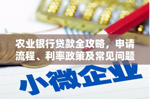 昭苏农业银行贷款全攻略，申请流程、利率政策及常见问题解析