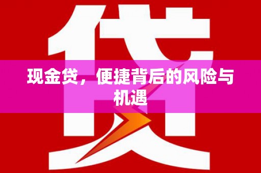 昭苏现金贷，便捷背后的风险与机遇