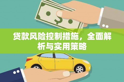 昭苏贷款风险控制措施，全面解析与实用策略