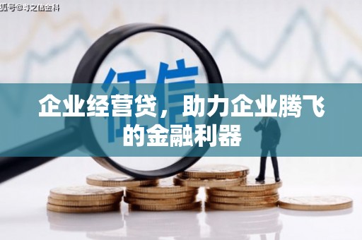 昭苏企业经营贷，助力企业腾飞的金融利器