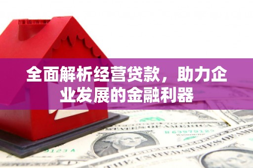 昭苏全面解析经营贷款，助力企业发展的金融利器