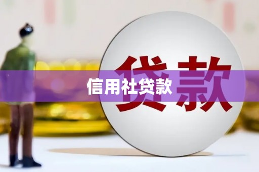 昭苏信用社贷款
