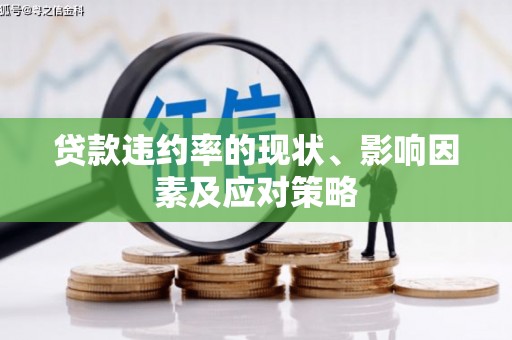 昭苏贷款违约率的现状、影响因素及应对策略