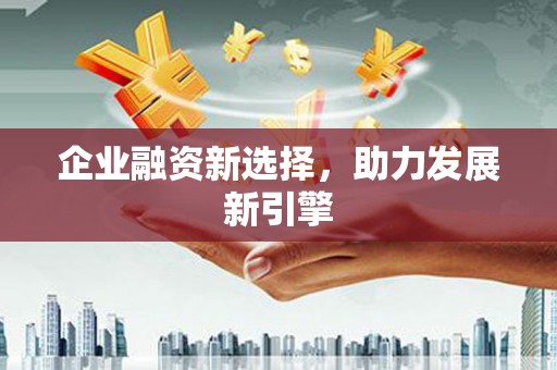 昭苏企业融资新选择，助力发展新引擎