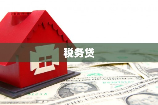 昭苏税务贷