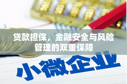 昭苏贷款担保，金融安全与风险管理的双重保障