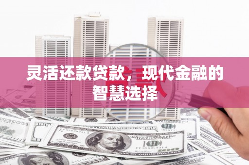 昭苏灵活还款贷款，现代金融的智慧选择