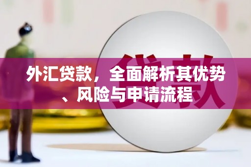 昭苏外汇贷款，全面解析其优势、风险与申请流程