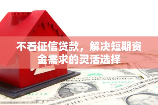 昭苏不看征信贷款，解决短期资金需求的灵活选择