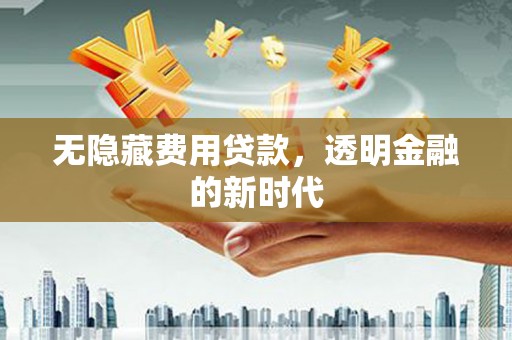昭苏无隐藏费用贷款，透明金融的新时代