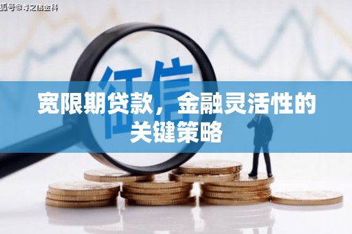 昭苏宽限期贷款，金融灵活性的关键策略