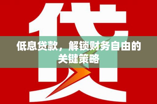 昭苏低息贷款，解锁财务自由的关键策略