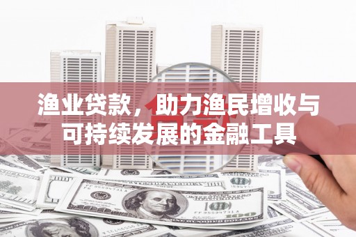 昭苏渔业贷款，助力渔民增收与可持续发展的金融工具