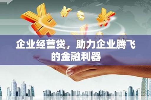 昭苏企业经营贷，助力企业腾飞的金融利器