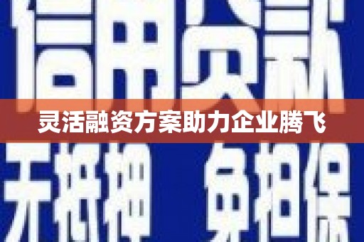 昭苏灵活融资方案助力企业腾飞