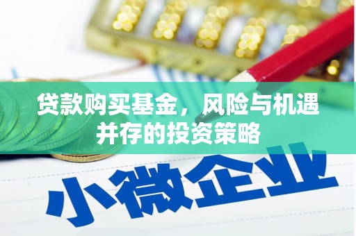 昭苏贷款购买基金，风险与机遇并存的投资策略
