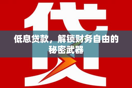 昭苏低息贷款，解锁财务自由的秘密武器