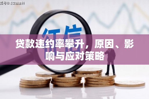 昭苏贷款违约率攀升，原因、影响与应对策略