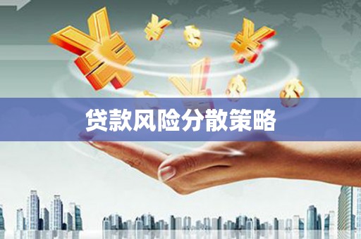 昭苏贷款风险分散策略