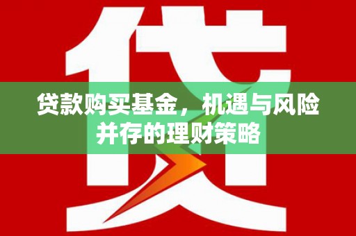 昭苏贷款购买基金，机遇与风险并存的理财策略