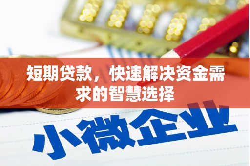 昭苏短期贷款，快速解决资金需求的智慧选择