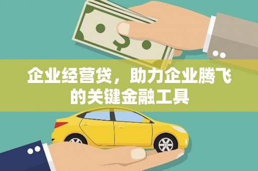 昭苏企业经营贷，助力企业腾飞的关键金融工具